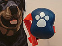 Pet Brush pet grooming device in set of two pieces